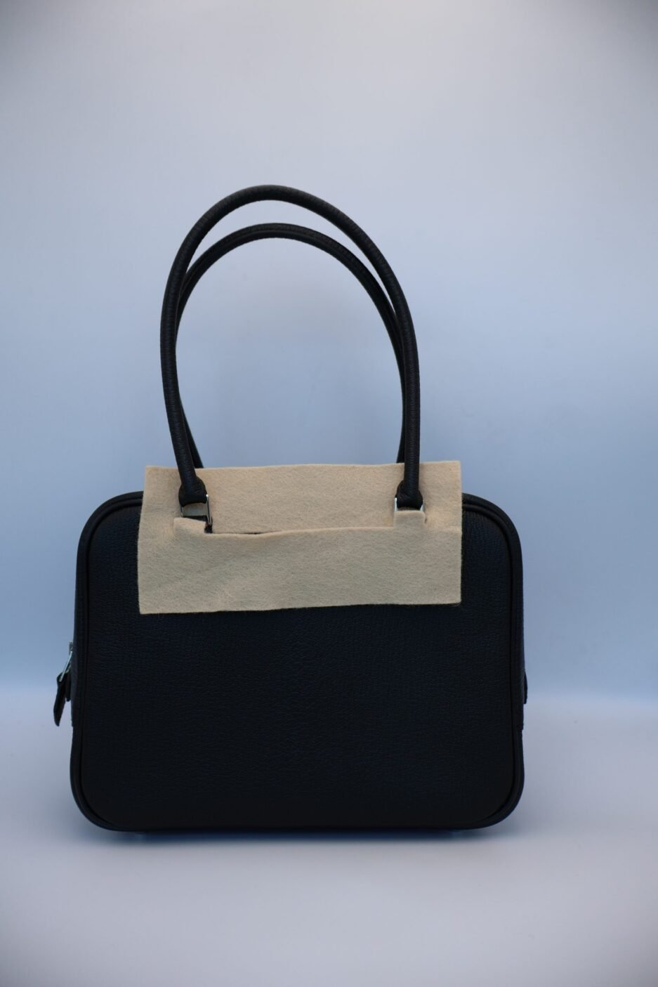 MINI PLUME BLACK CHEVRE PHW 2025 TAMILA – NHI