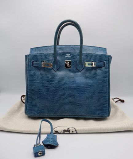 Birkin 25 Mykonos Lizard Phw P square