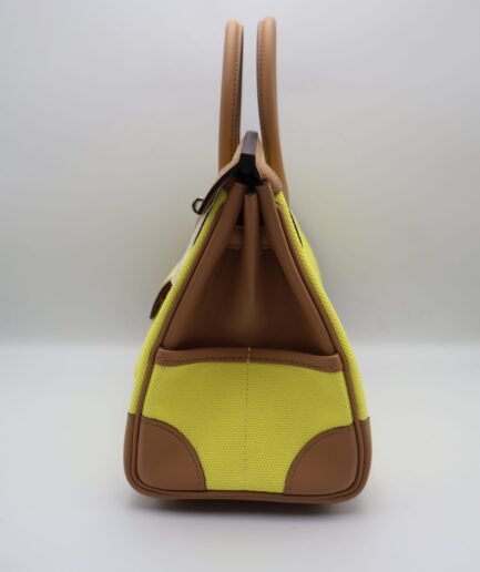 Birkin 25 Cargo Citron-Chai Toile-Swift Phw U