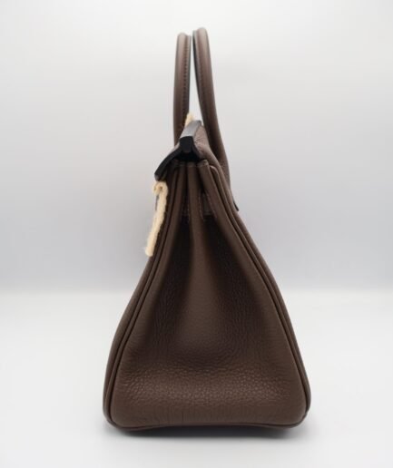 Birkin 25 Ecorce Togo Ghw K